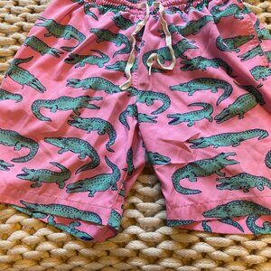 Chubbies - Bathing Suit - Men's Small- Pink and Green